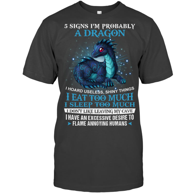 HeatherDarkGreyTshirt5SignsImProbablyADragonGiftForDragonLovers