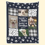 BG_4_dog