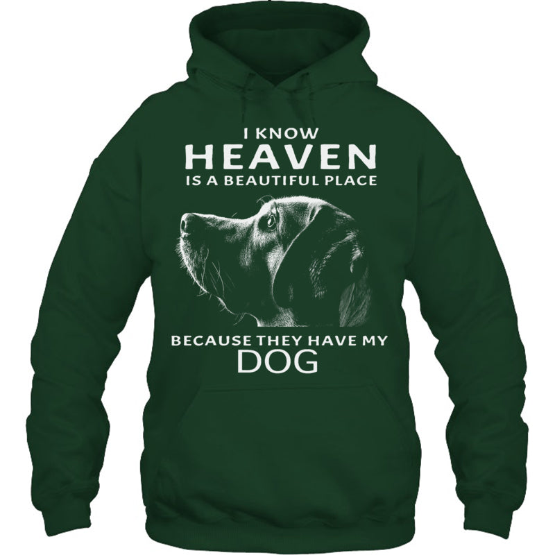 ForestGreenHoodieIKnowHeavenIsABeautifulPlaceBecauseTheyHaveMyDogHeaven