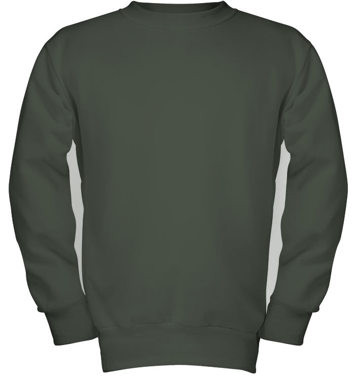 thumb hanes P360 forest
