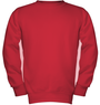 thumb hanes P360 red