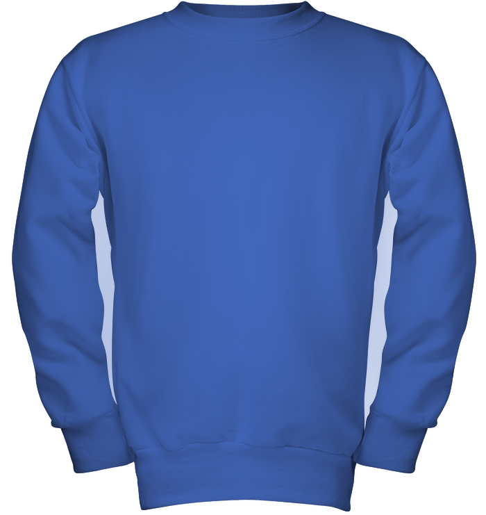 thumb hanes P360 royal