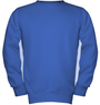 thumb hanes P360 royal