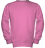 thumb hanes P360 safety pink